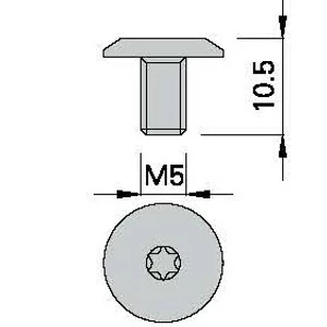 OMAS Șurub 480-73B M5X8 TORX T20