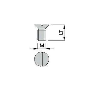 OMAS Șurub M=5X10 OMAS Șurub M=5X10