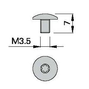 Șurub, ART 480-74P M3,5X5 TORX T15